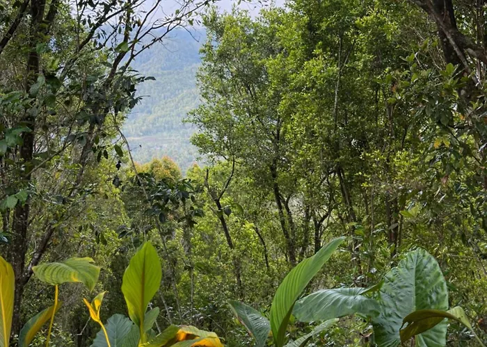 Parque de Campismo Clovehigh And